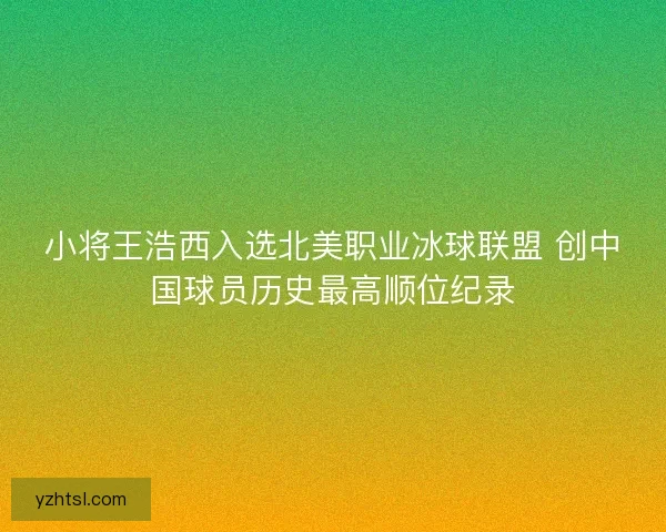 小将王浩西入选北美职业冰球联盟 创中国球员历史最高顺位纪录